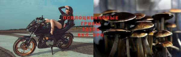 таблы Алзамай
