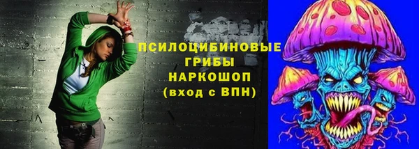 spice Алексеевка