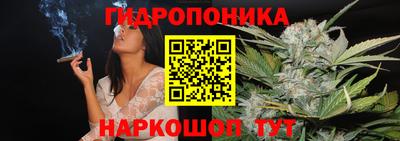 шишки Гагарин