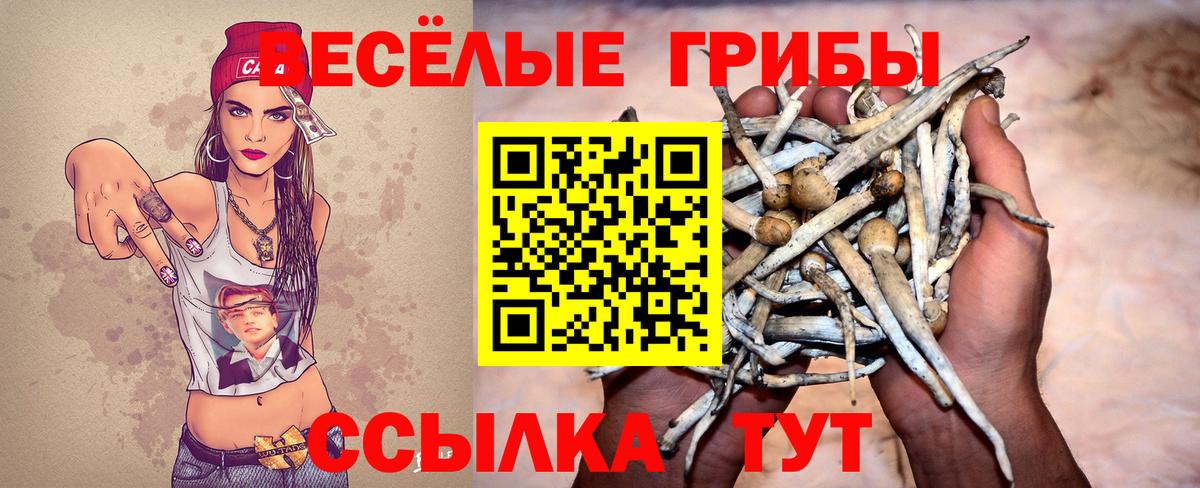 Воткинск  Псилоцибиновые грибы MAGIC MUSHROOMS  Вход с VPN 